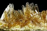 Honey Yellow Celestine (Celestite) Crystal Cluster - Poland #175409-3